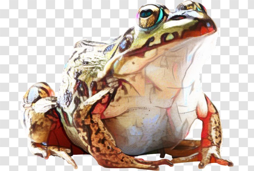 Frog Kill All Normies Clip Art Image - Prince - True Toad Transparent PNG