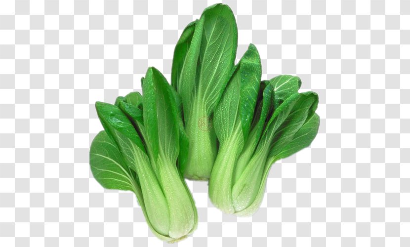 Komatsuna Choy Sum Organic Food Leaf Vegetable Chinese Cabbage - Capitata Group Transparent PNG