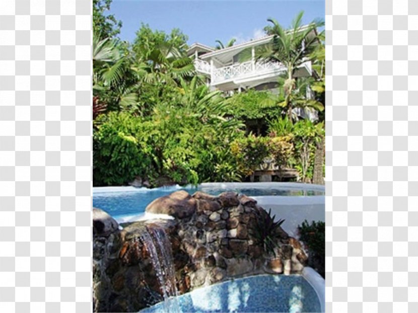 Water Resources Swimming Pool Ecosystem Resort Property - House - Vacation Transparent PNG