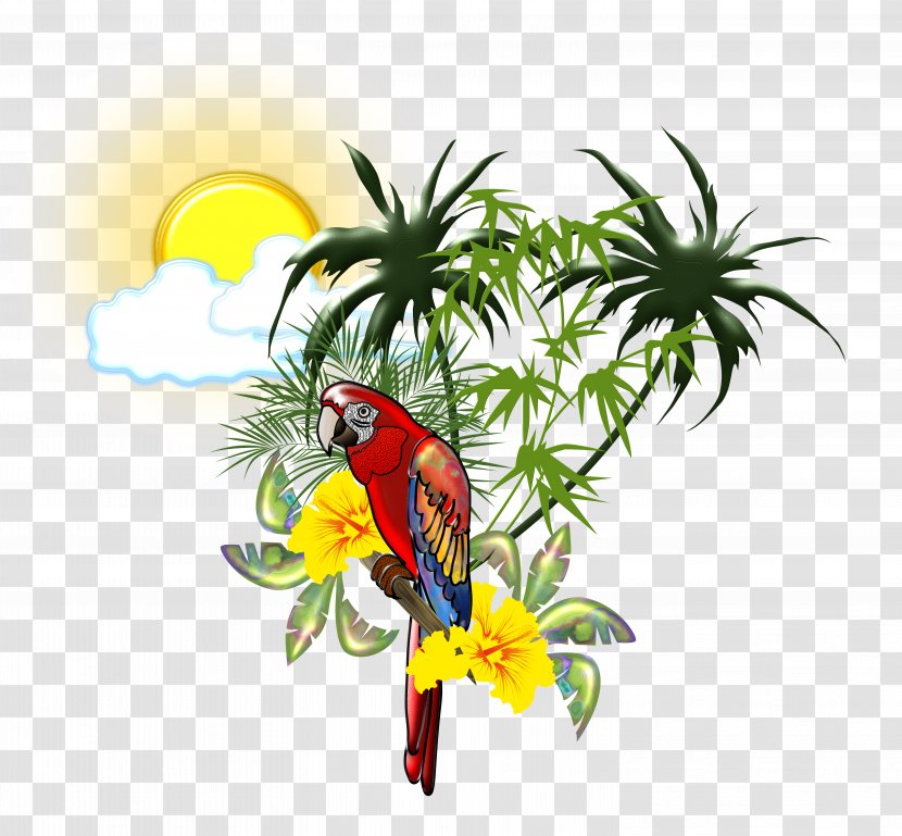 Scarlet Macaw Parrot Bird DeviantArt - Tropical Transparent PNG
