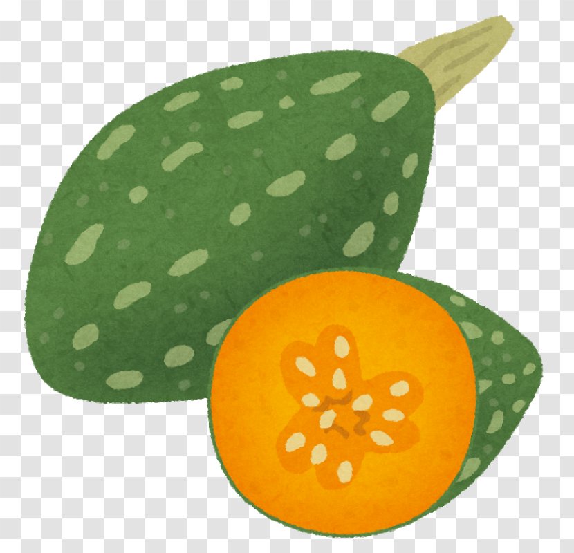 Pumpkin いらすとや Fruit Rugby Transparent PNG