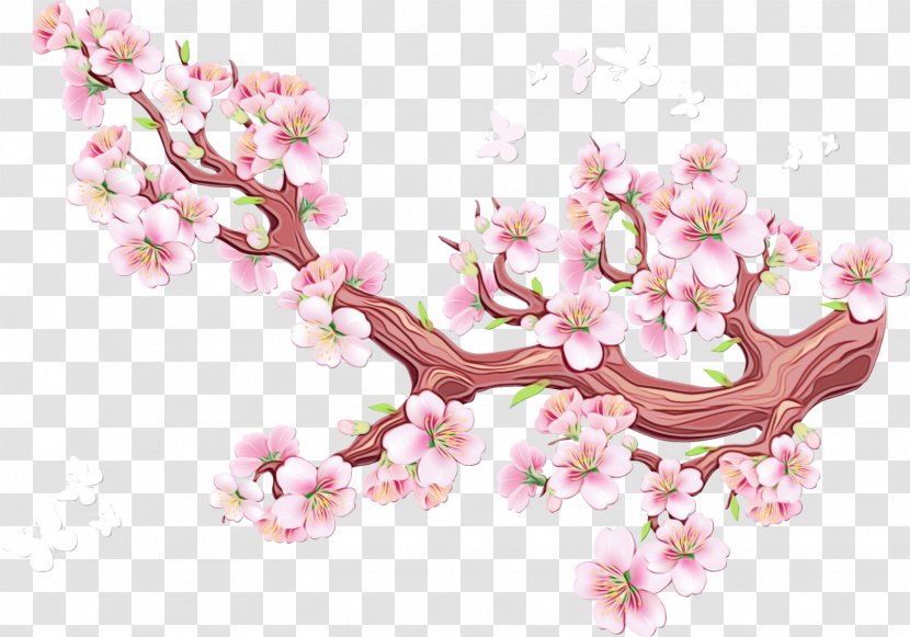 Sakura Tree - Cherry Blossom - Perennial Plant Transparent PNG