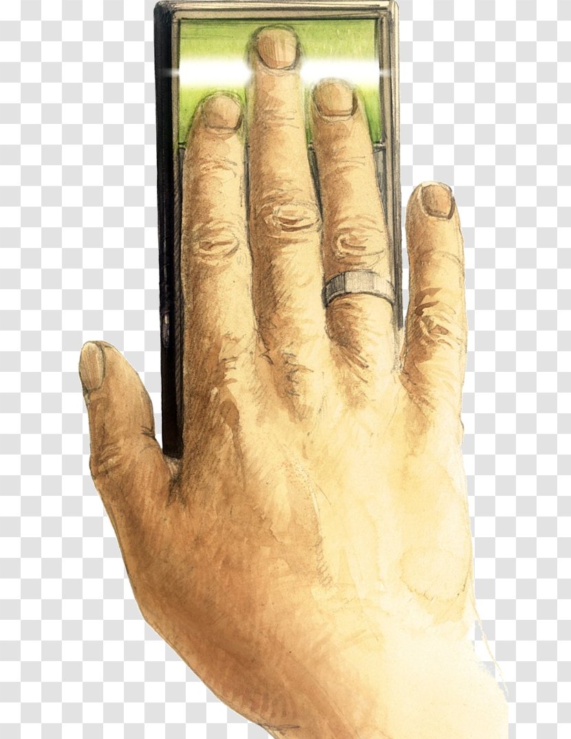 Thumb Hand Model Transparent PNG