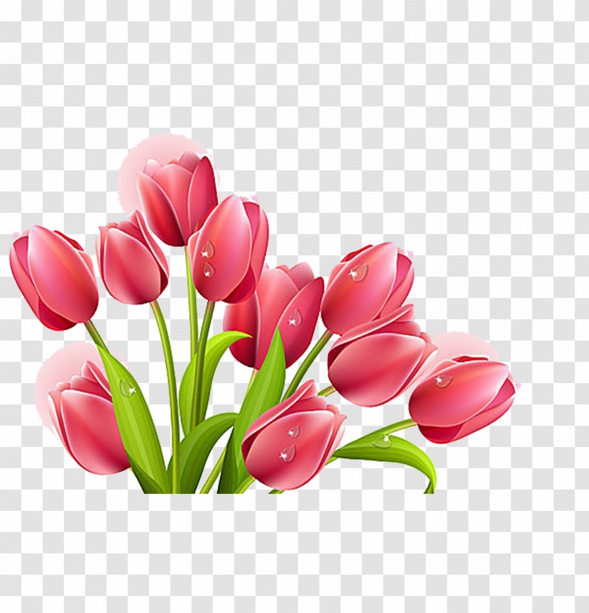 Tulip Flower Bouquet Clip Art Transparent PNG