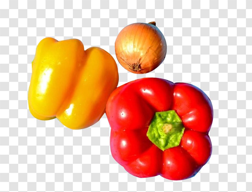 Bell Pepper Chili Con Carne Plum Tomato Pimiento - Nightshade Family - Fruit Transparent PNG