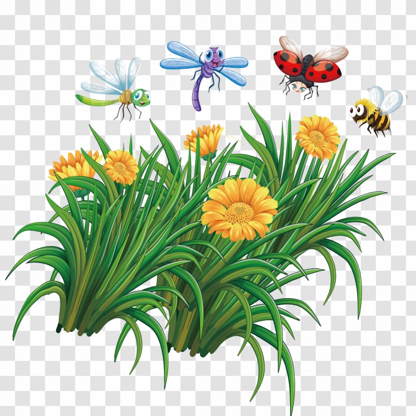 Insect Bee Illustration - Garden - Vector Flowers Transparent PNG