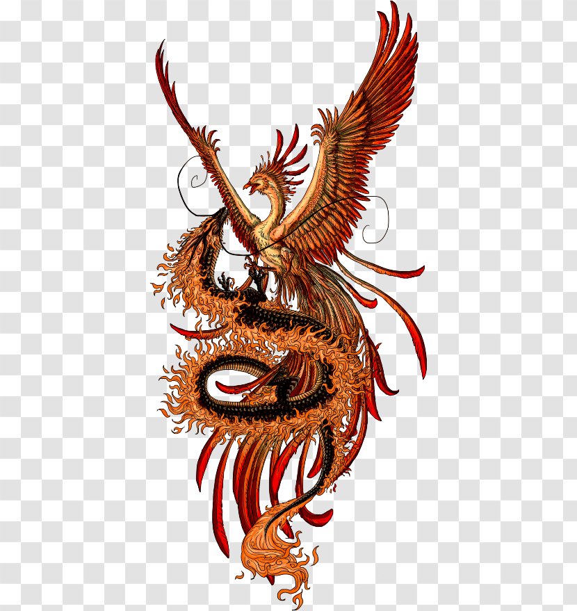 Fenghuang Phoenix Chinese Dragon China - Supernatural Creature Transparent PNG
