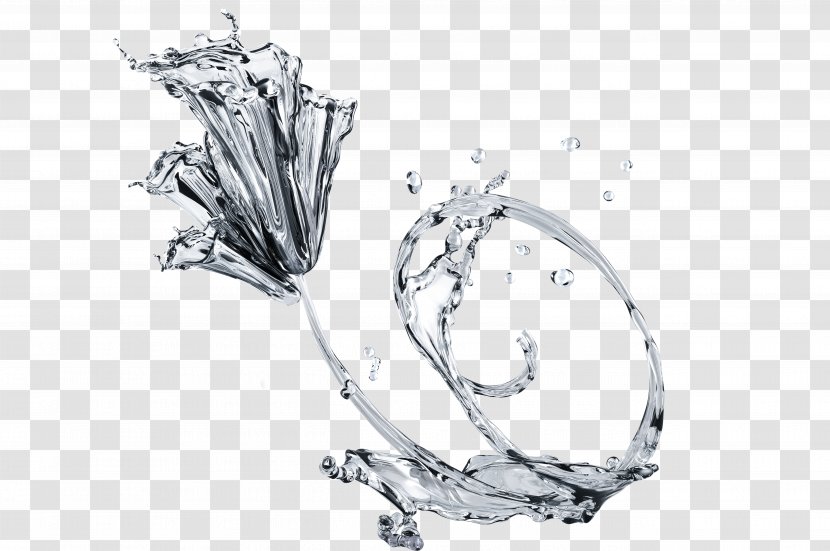 Water - Body Jewelry - Monochrome Photography Transparent PNG