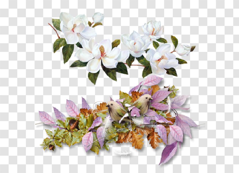 Flower Magnolia Graphic Frames Clip Art - Branch - Wedding Floral Ornament Transparent PNG