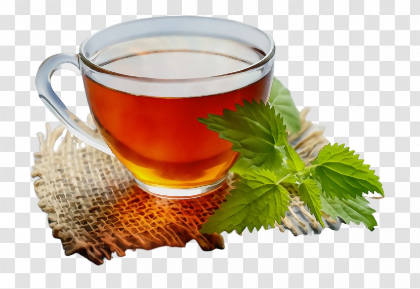 Chinese Herb Tea Leaf Drink Food - Roasted Barley Grog Transparent PNG