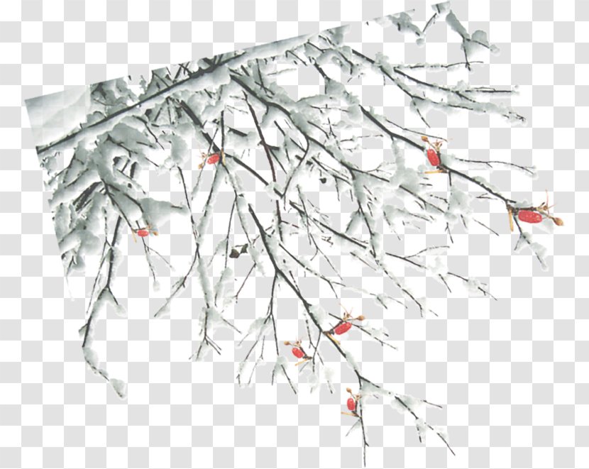 Twig Winter Branch - Tree - Branches Transparent PNG