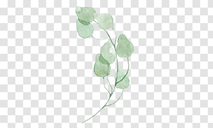 Leaf Green Watercolor Painting - Branch - Leaves Transparent PNG