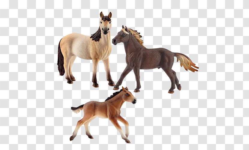 Mustang Foal Mare Stallion Andalusian Horse - Supplies Transparent PNG