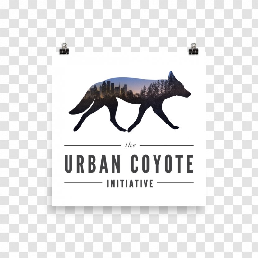 Sky Coyote Canidae Dog Urban - Therapy Transparent PNG