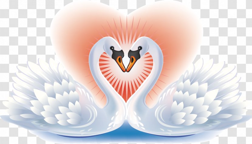 Black Swan Bird Heart Clip Art - Tree - Pattern Transparent PNG