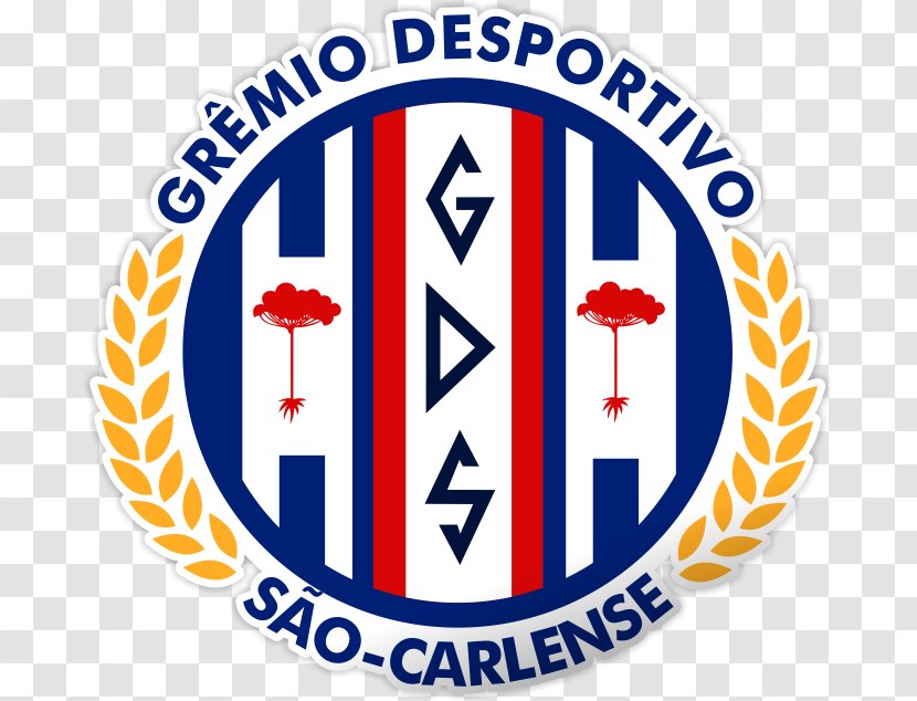 Campeonato Paulista Sociedade Esportiva Itapirense Independente Futebol Clube Football Amaral - Symbol Transparent PNG