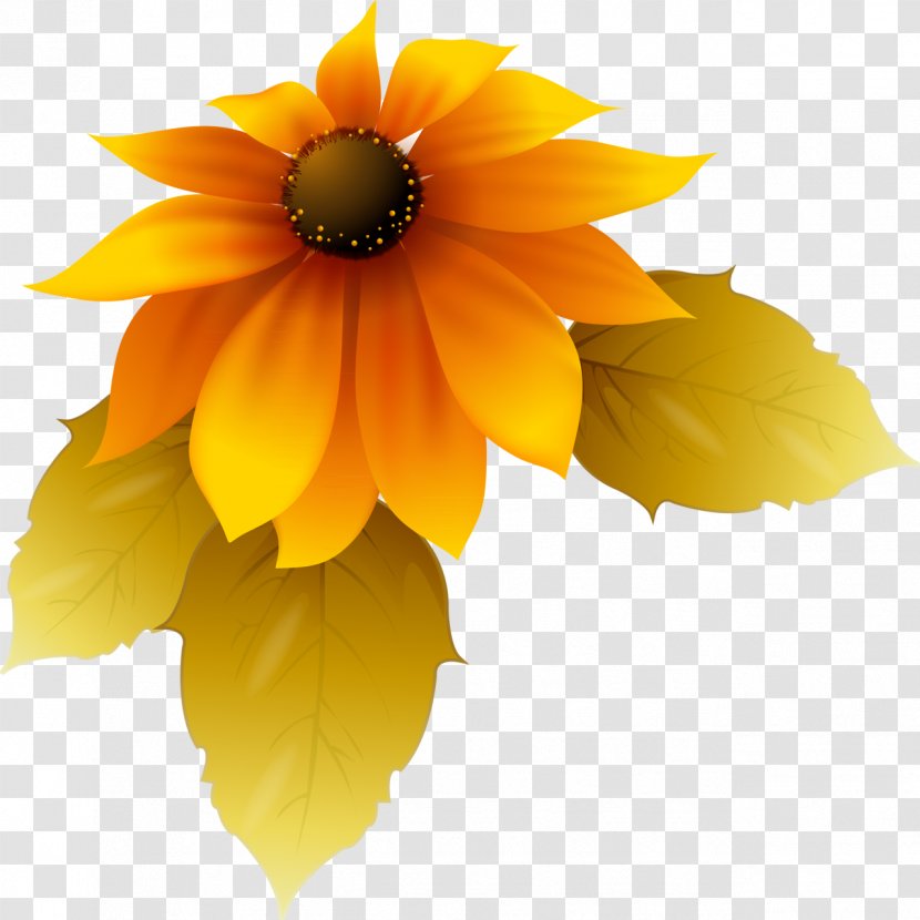 Yellow Sunflower Petal Adobe Photoshop - Flower - Cartoon Transparent PNG