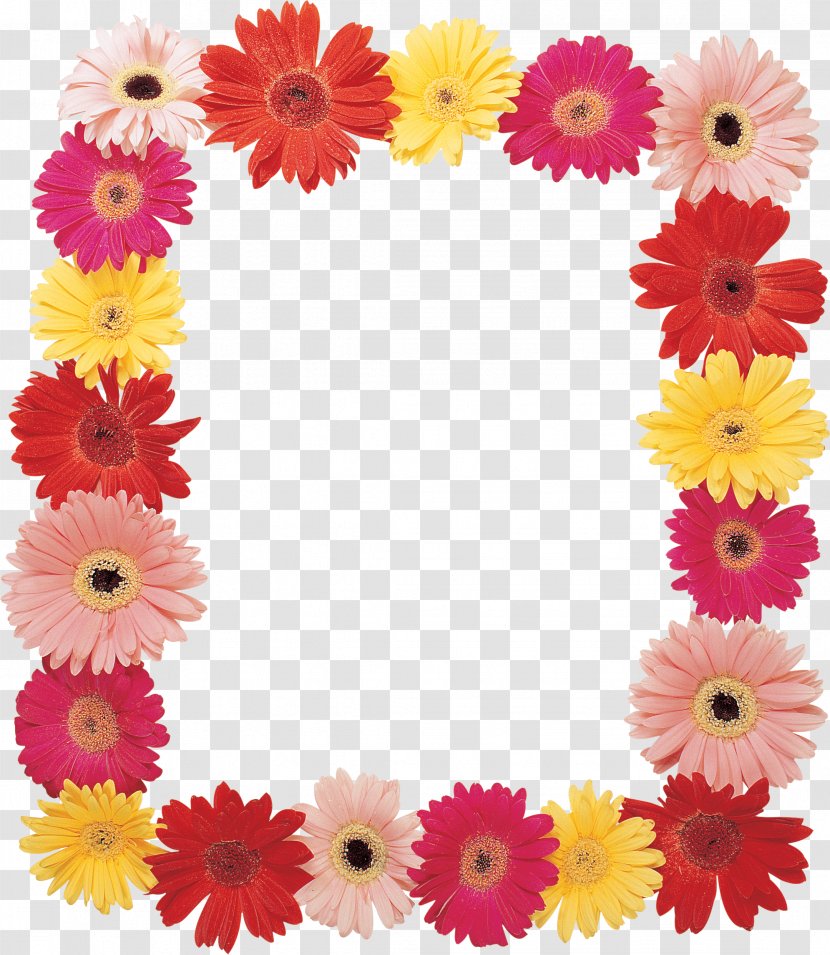 Picture Frames Flower Transvaal Daisy Digital Photo Frame - Floral Design - Vector Debris Transparent PNG