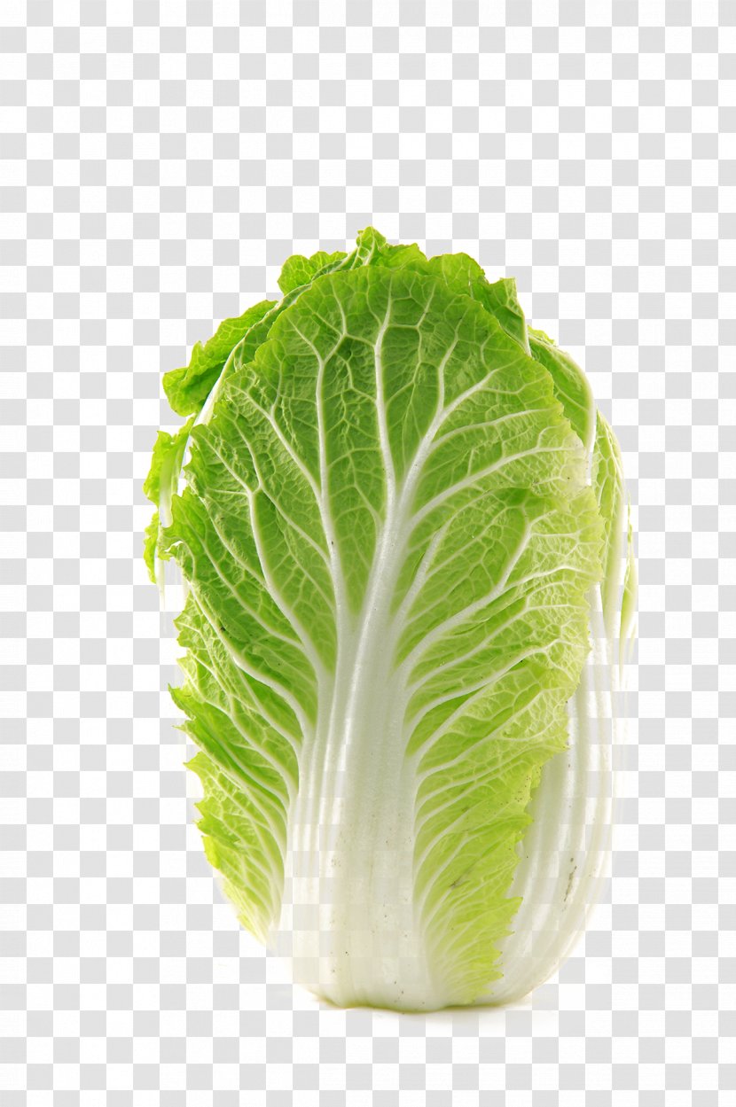 Napa Cabbage Vegetable Chinese Food Transparent PNG