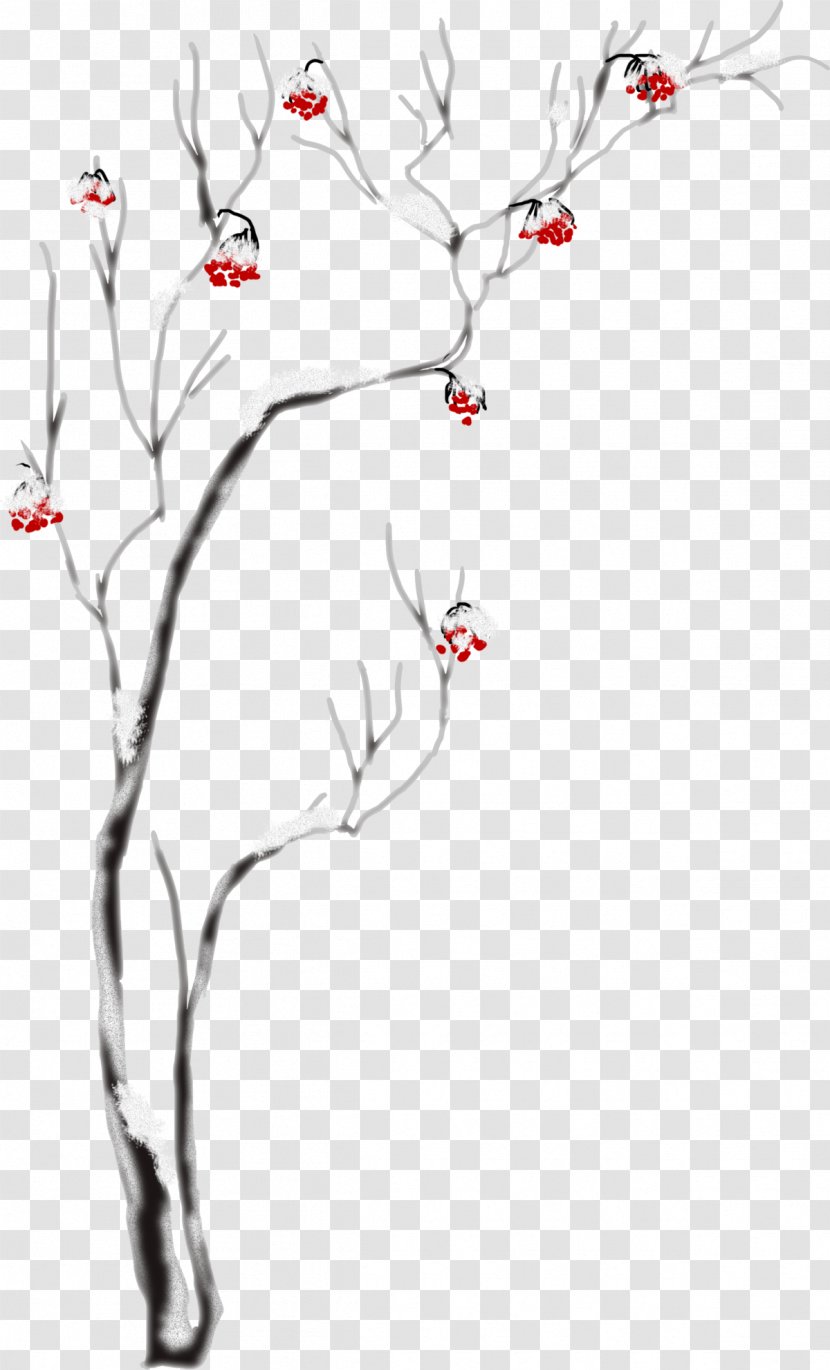 New Year Snow - Plant Line Art Transparent PNG