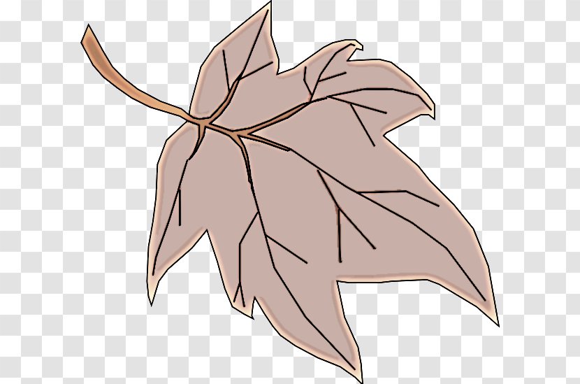 Maple Leaf - Plane - Deciduous Black Transparent PNG