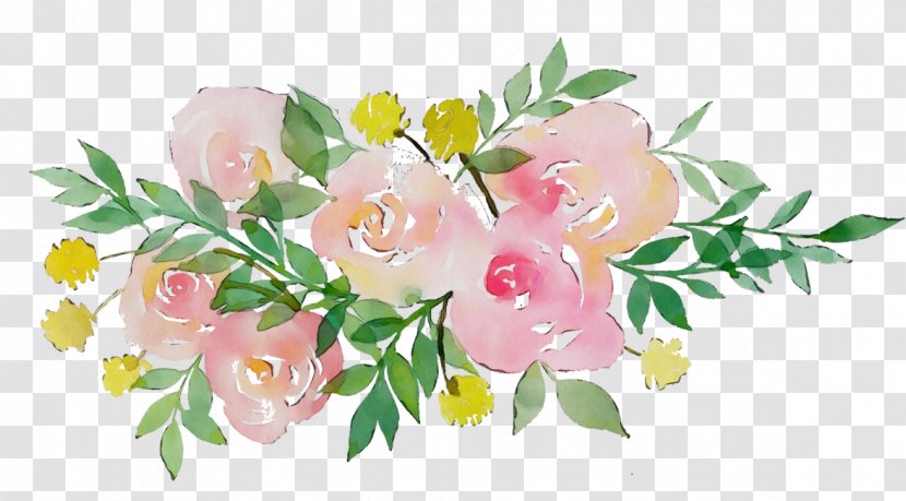 Rose - Family - Branch Transparent PNG