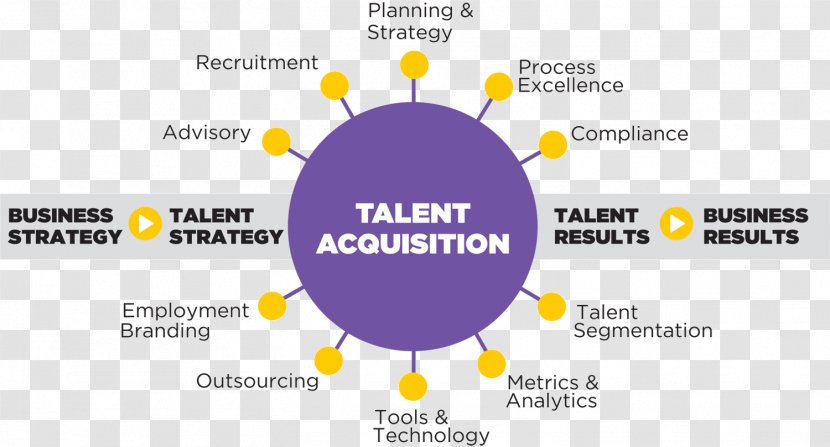 Recruitment Human Resources Consultant Organization Resource Management - Company - Talent Transparent PNG