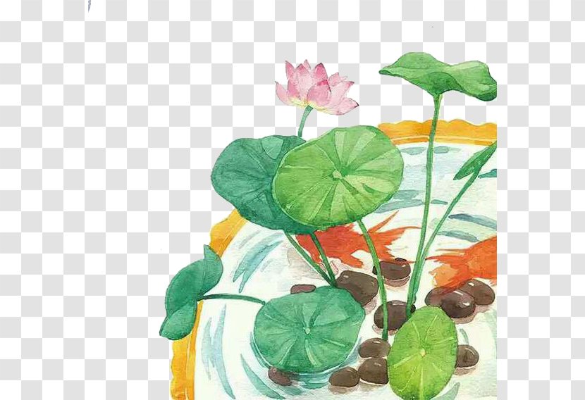 Cartoon Flower Illustration - Illustrator - Lotus Transparent PNG