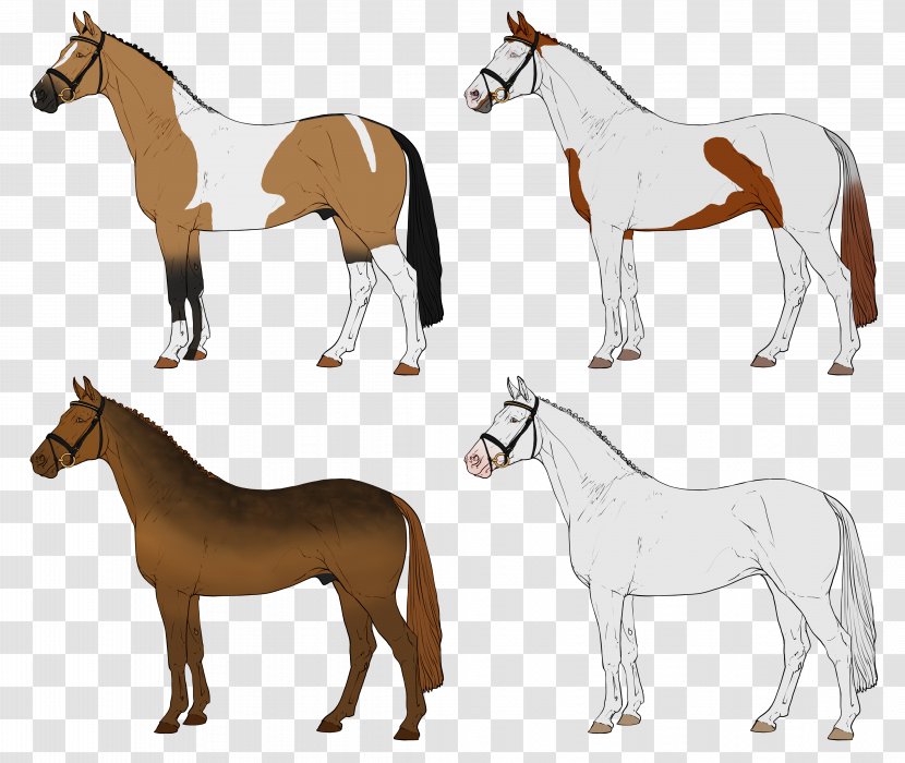 Horse Pony Drawing - Mustang Transparent PNG