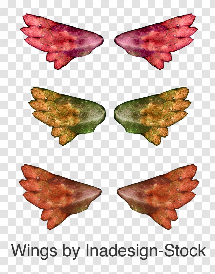 Leaf Tree - Fantasy Wings Transparent PNG