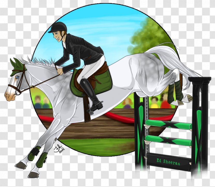 Show Jumping Hunt Seat Rein Stallion Equitation - Mustang Transparent PNG