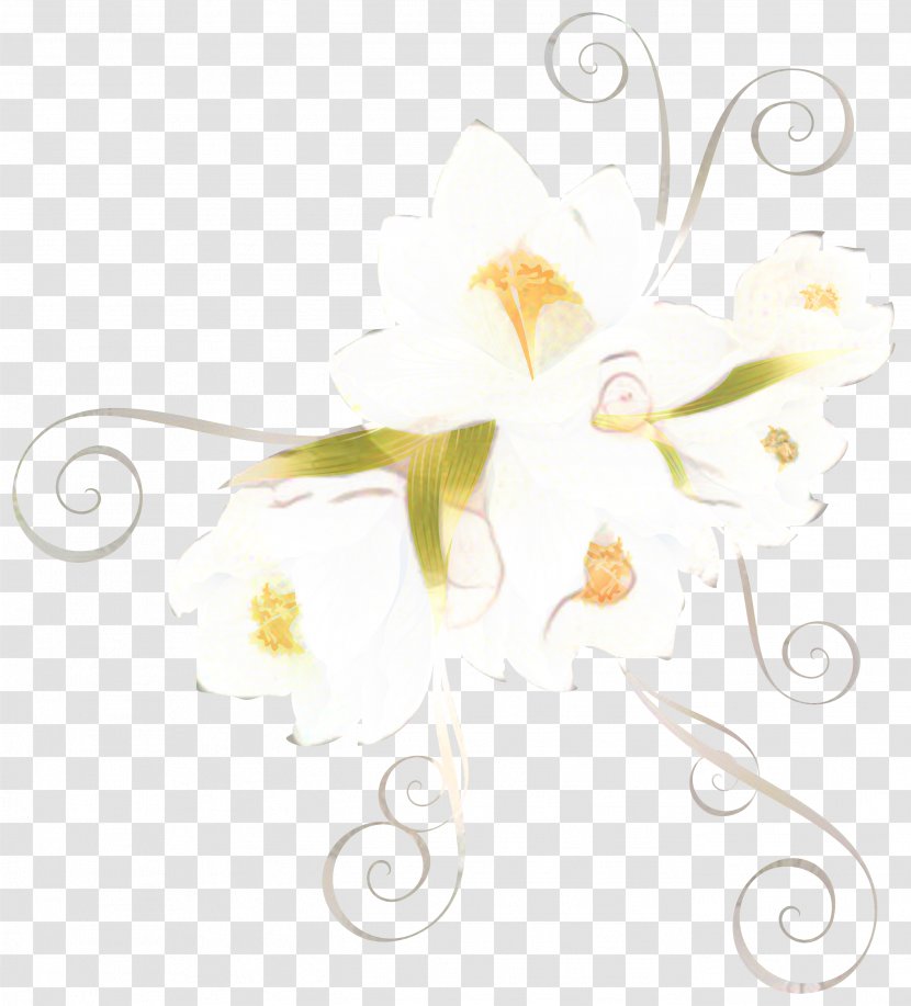 Floral Flower Background - Camomile Transparent PNG