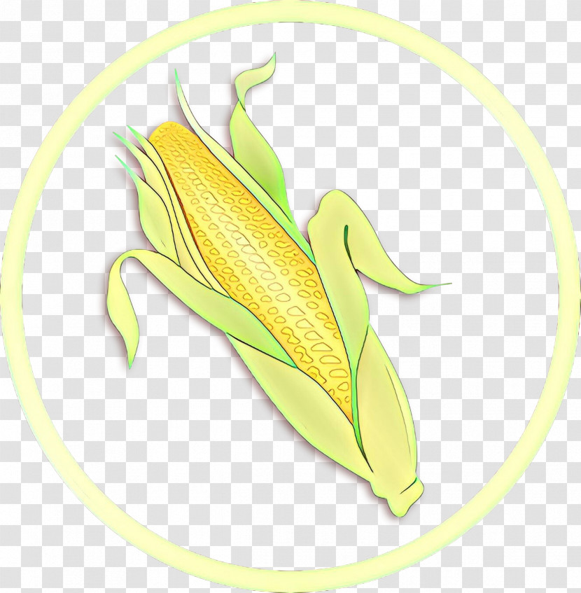 Corn On The Cob Yellow Plant Leaf Vegetarian Food Transparent PNG