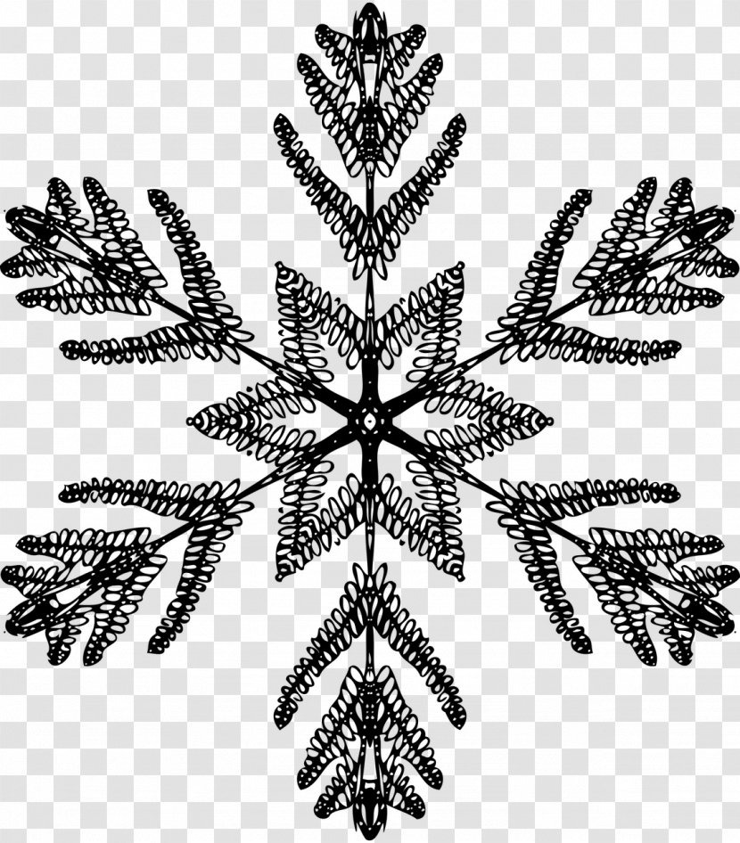 Black And White Symmetry Snowflake Photography - Leaf Transparent PNG