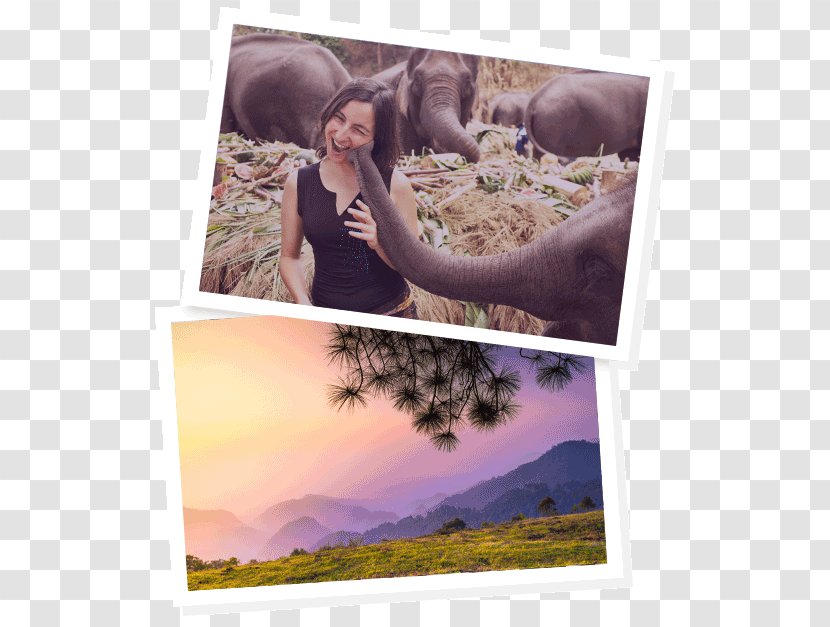 Chiang Mai Work And Travel USA Visa Photomontage Picture Frames Transparent PNG
