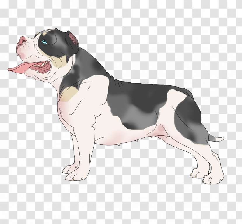 Boston Terrier Puppy Dog Breed Non-sporting Group Snout - Non Sporting Transparent PNG