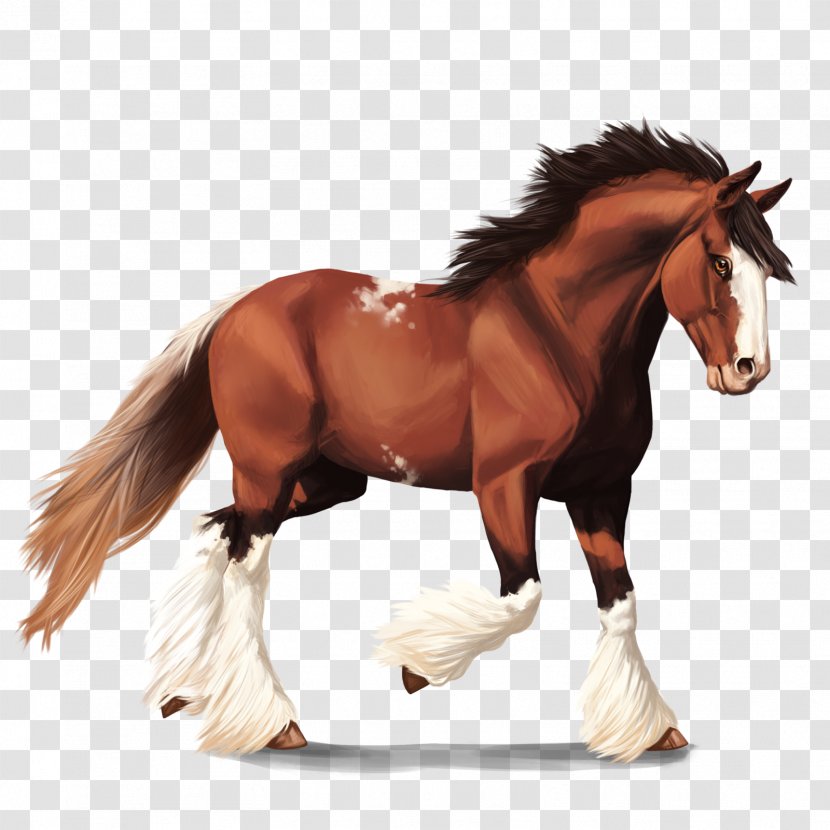 Clydesdale Horse American Quarter Mustang Howrse Budweiser - Mare Transparent PNG