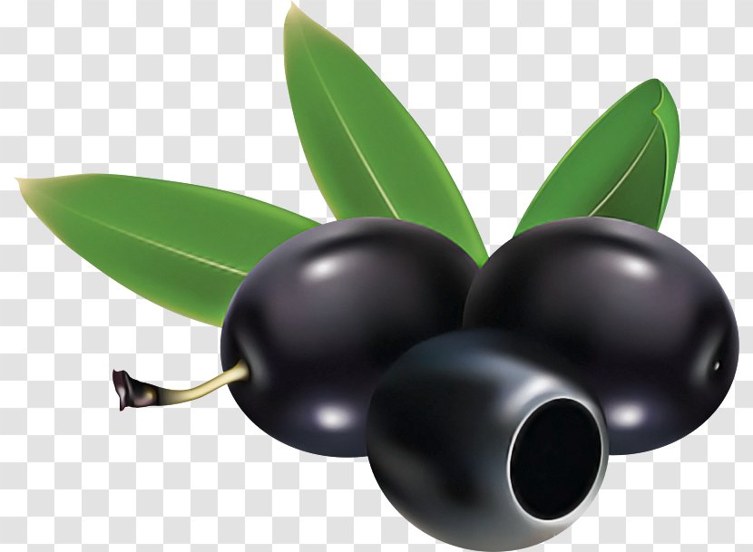 Olive Fruit Plant Berry Tree - Food Transparent PNG