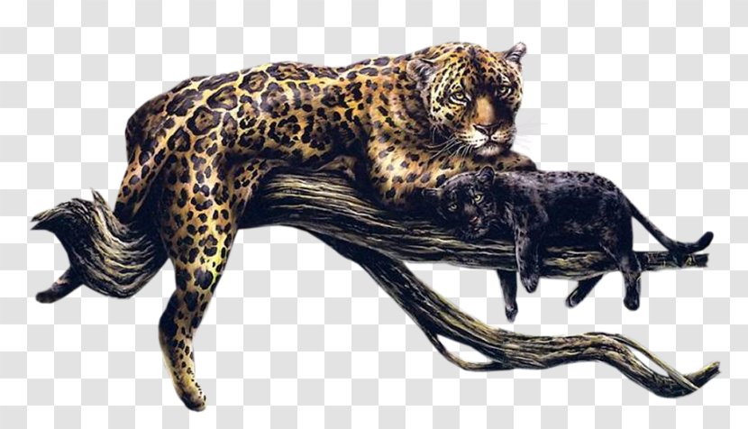 Leopard Cheetah Felidae Cat - Tiger Transparent PNG