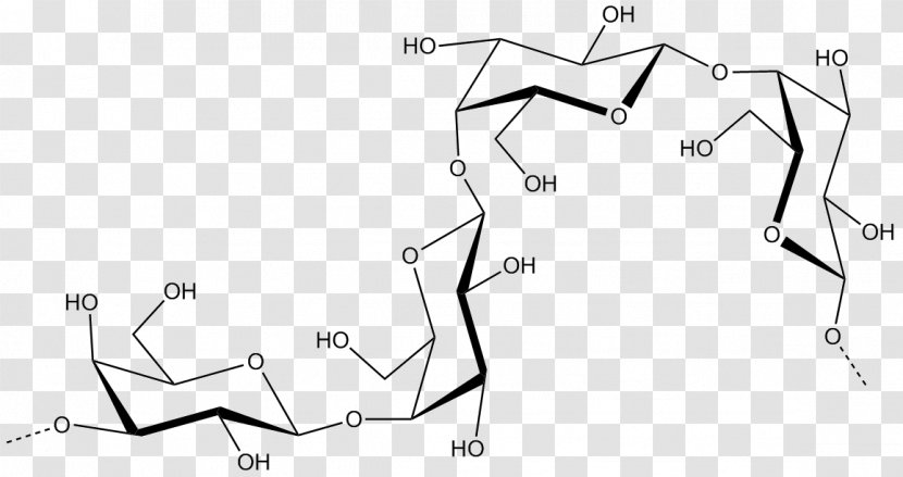 Galactan Galactose Glucan Glycosidic Bond Carbohydrate - Glycoside Hydrolase Family 16 Transparent PNG