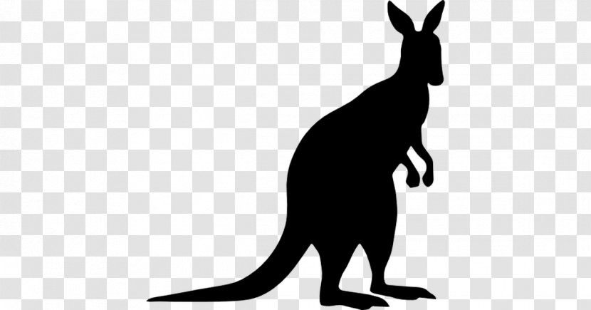 Kangaroo Macropodidae Silhouette Clip Art - Decal Transparent PNG