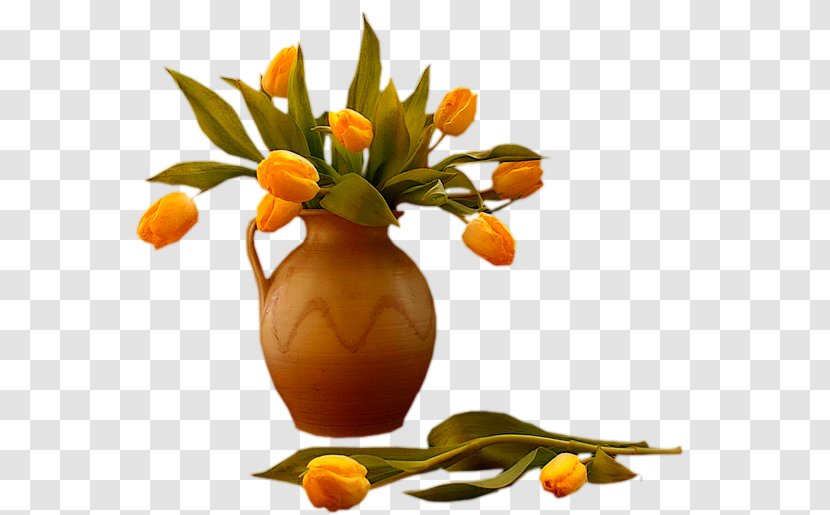 Cut Flowers Tangerine Orange Blossom Clip Art - Plant - Flower Transparent PNG