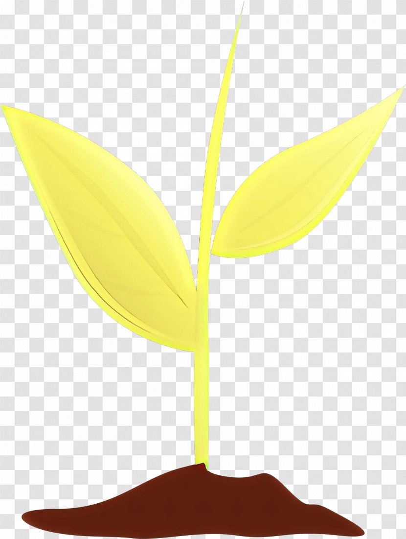Leaf Yellow Plant Tree Flower - Cartoon - Stem Anthurium Transparent PNG