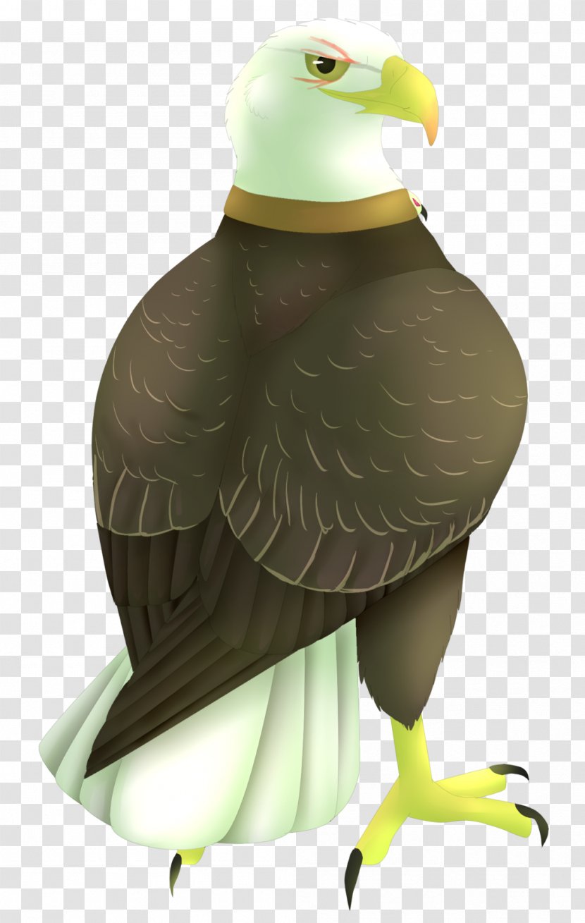 Duck Eagle Beak Neck - Water Bird - Agent Orange Transparent PNG