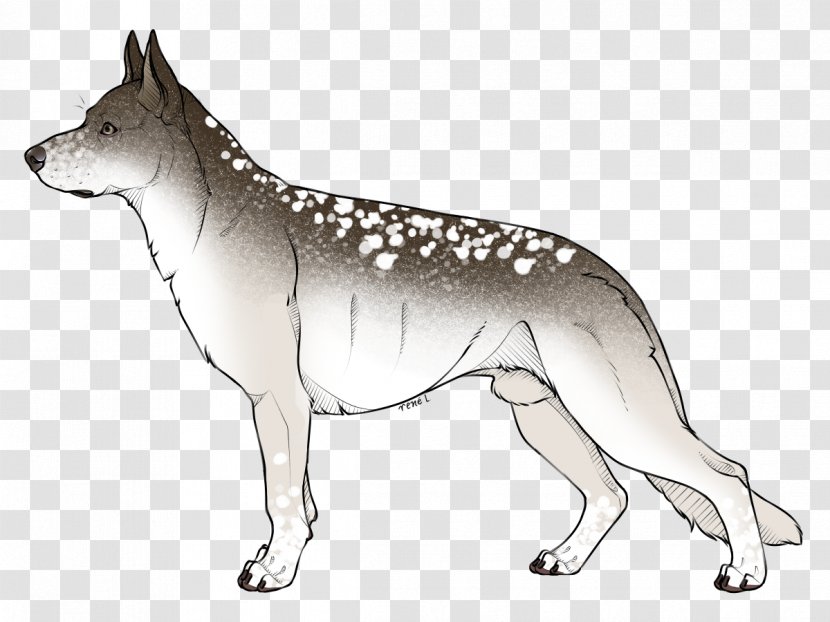Czechoslovakian Wolfdog Saarloos Dog Breed Dingo /m/02csf - Carnivoran - Lava Wolf Adoptable Transparent PNG