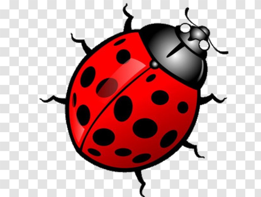 Ladybird Clip Art - Cartoon Ladybugs Transparent PNG