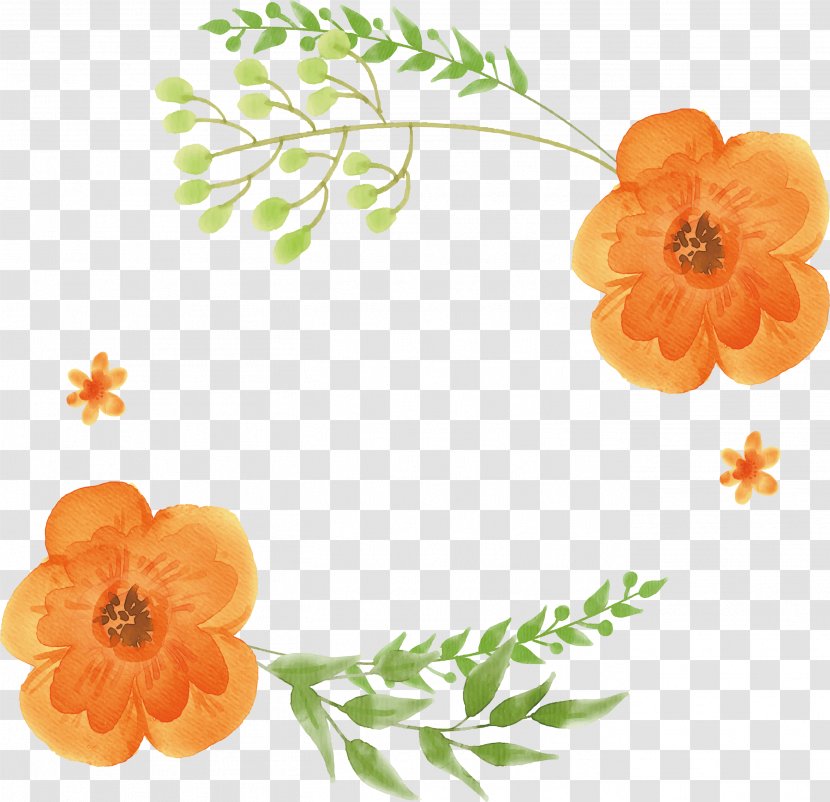 Watercolor: Flowers Orange Watercolor Painting - Flower Title Box Transparent PNG