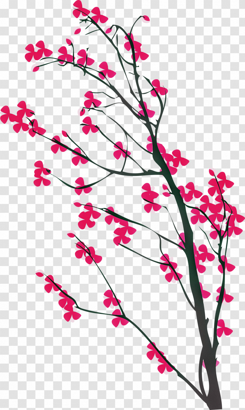 Cherry Flower Transparent PNG