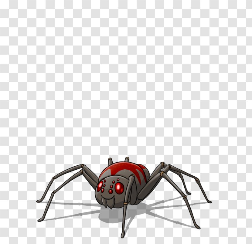 Insect Black Widow Transparent PNG