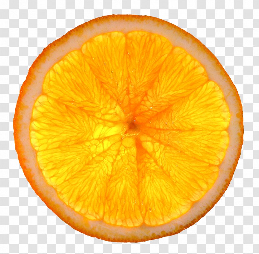 Orange Slice Citrus Health Quesadilla - Food Transparent PNG